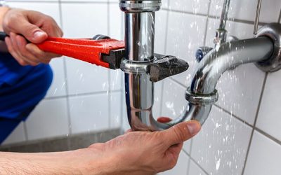 Essential Plumbing Maintenance Tips for Texas Homeowners in Summer 2024