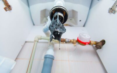 DIY vs. Professional Plumbing: When to Call a Texas Expert